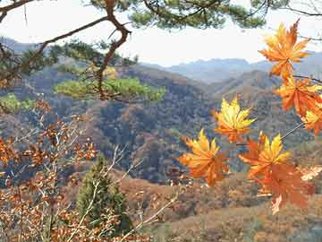 辽阳电视台《兴辽英才榜》栏目专访J9集团国际站集团曹玉学董事长